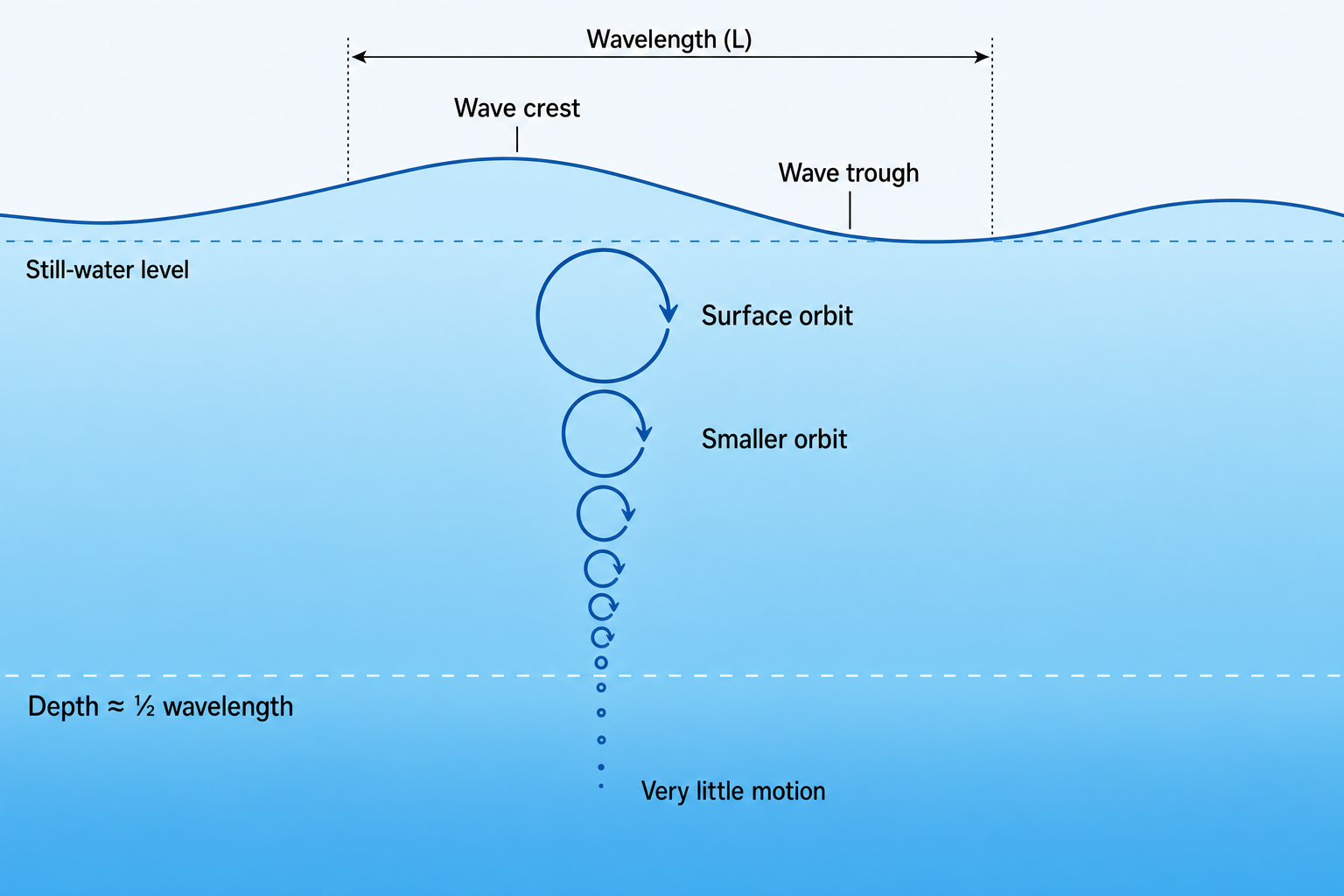 Deep-water wave cutaway showing circular particle orbits that become progressively smaller with depth and leave very little motion near half a wavelength below the surface.