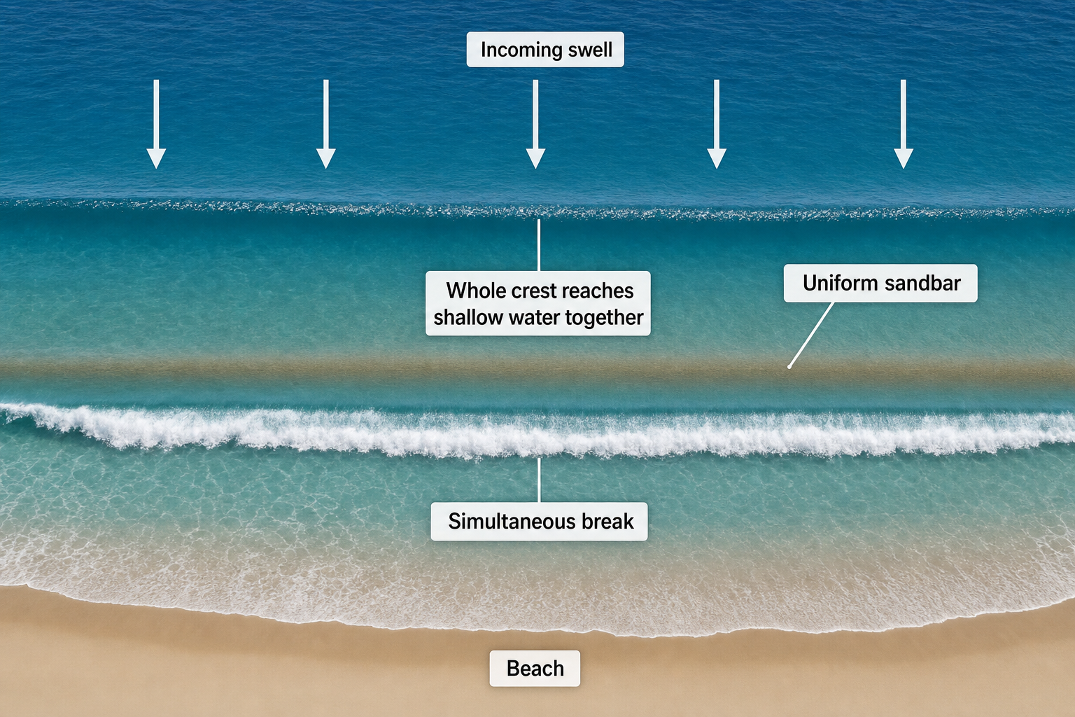 Overhead diagram of shoreward swell crossing a straight sandbar and breaking simultaneously across a broad line parallel to the beach.